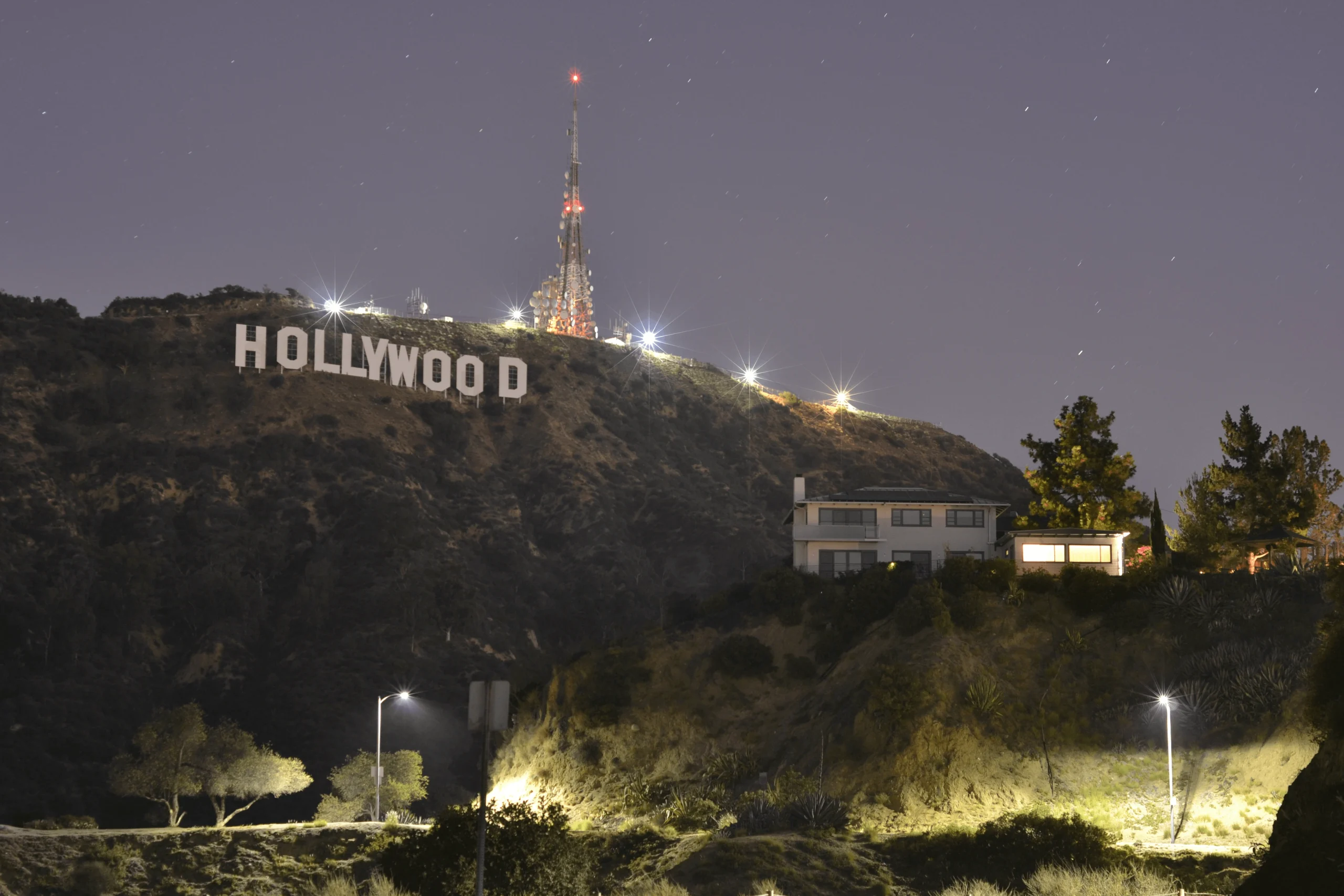 hollywood usa night