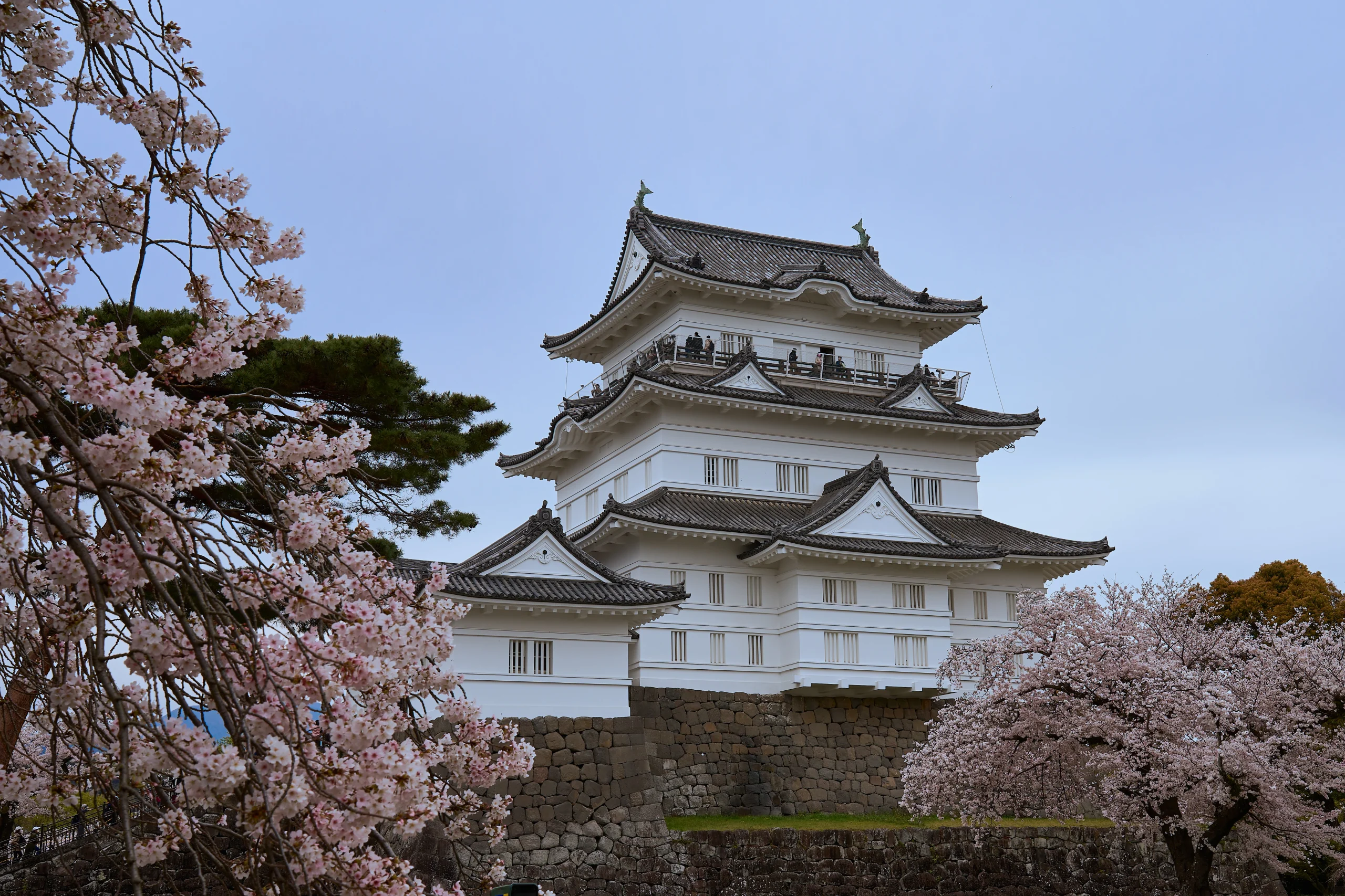 japan attraction