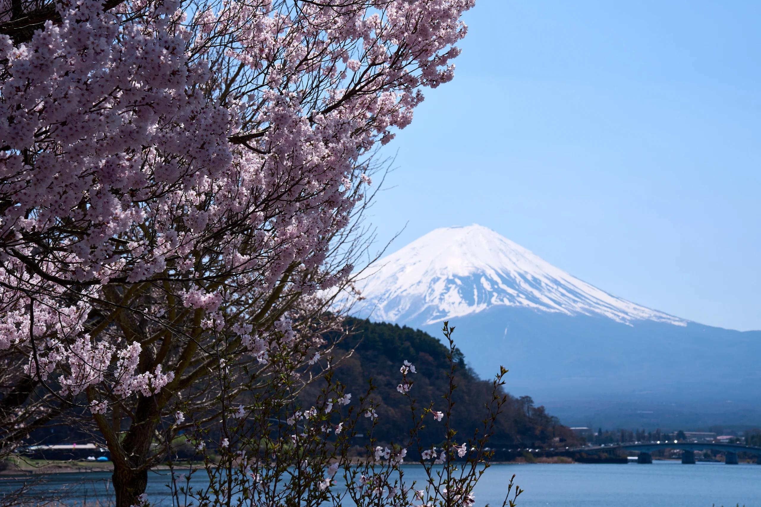 mount fuji scenery view